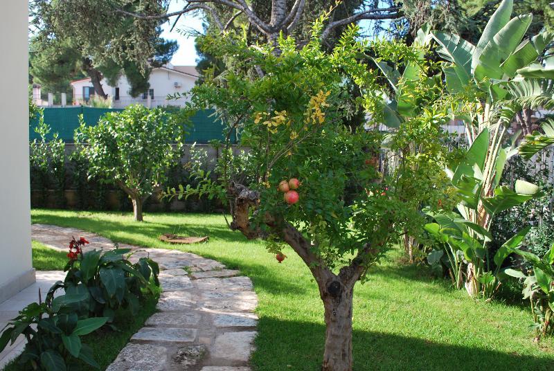 No Tag Urban Hotel Trani Extérieur photo